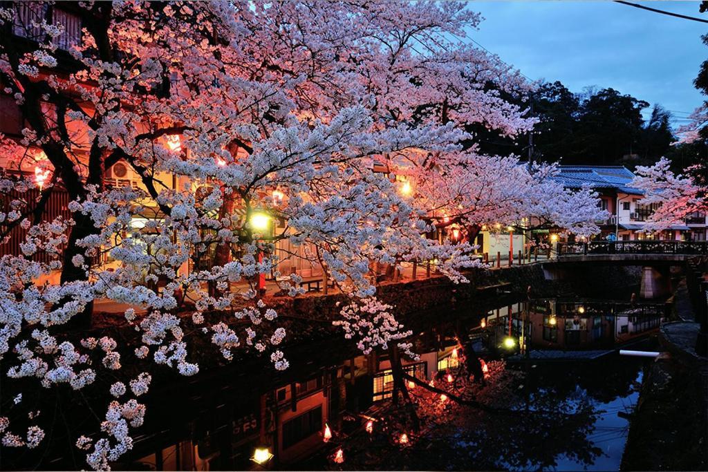 Oyado Seri Toyooka  Exterior foto